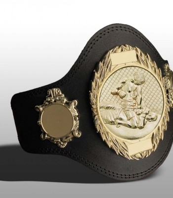 MMA Championship Belts