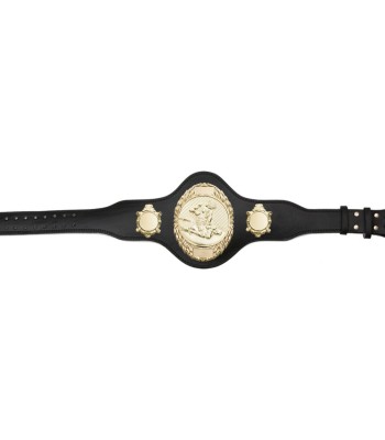MMA Championship Belts